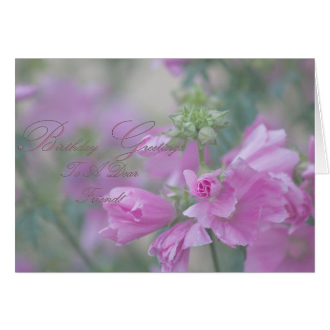 Rosa Mallow Cartões de aniversários Para Um Querid (Frente Horizontal)