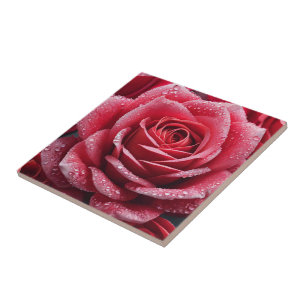 Rosa Marcar Azulejos cerâmicos : adicione charme à