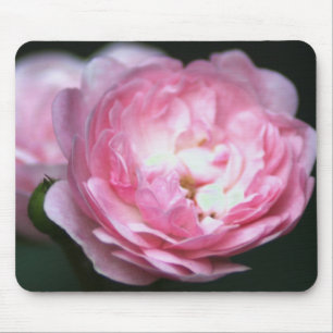 Rosa Mousepad do rosa!