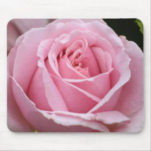 Rosa Mousepad do rosa