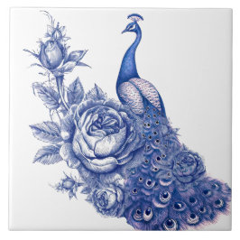 Rosa Pavão Azul Branco