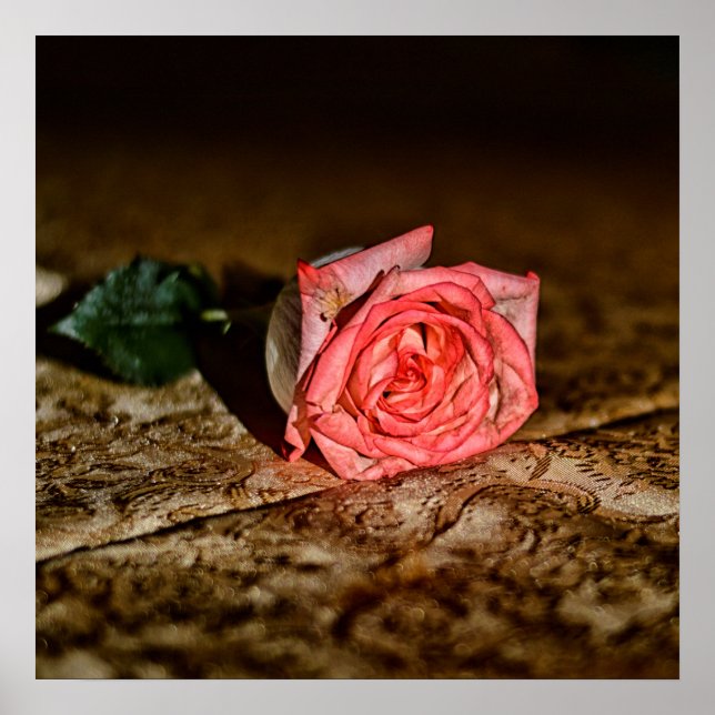 Rosa poster de fechamento (Frente)