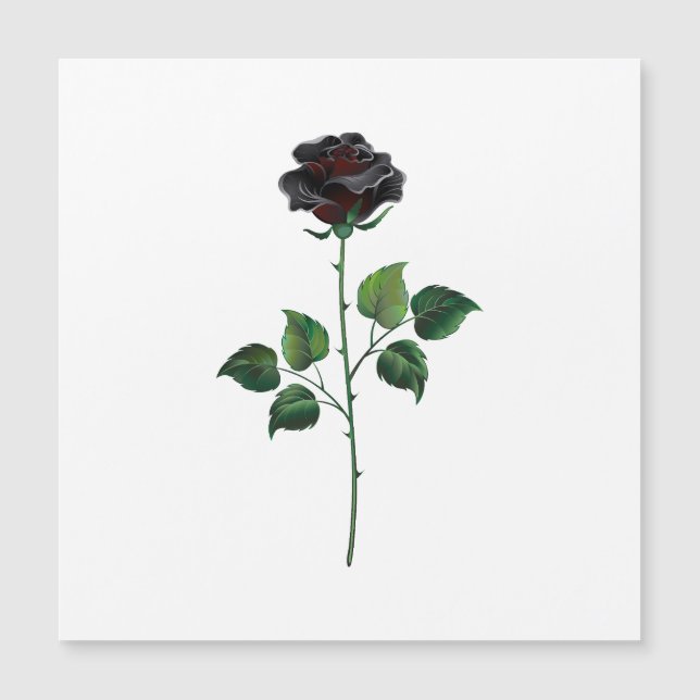 Rosa preto (Frente)