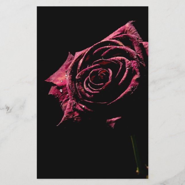 rosa preto (Frente)