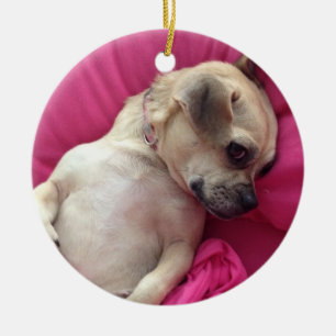 Rosa querido dos enfeites de natal do cão do Chug