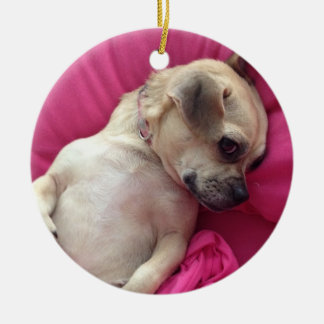 Rosa querido dos enfeites de natal do cão do Chug