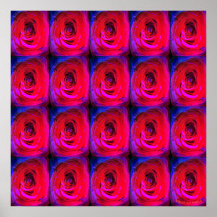 Rosa Red Miami, poster
