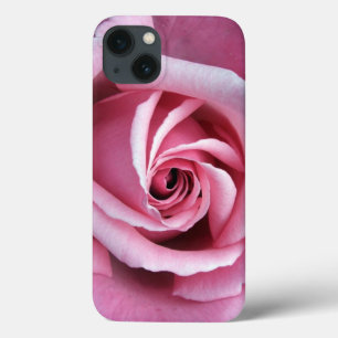 rosa rosa