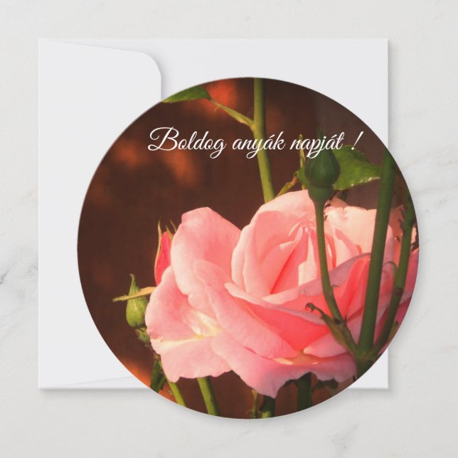 Rosa rosa Dia de as mães húngaro (Frente)