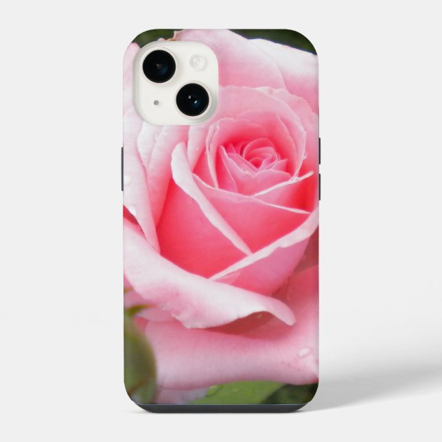 Rosa Rosa Pálida (Verso)