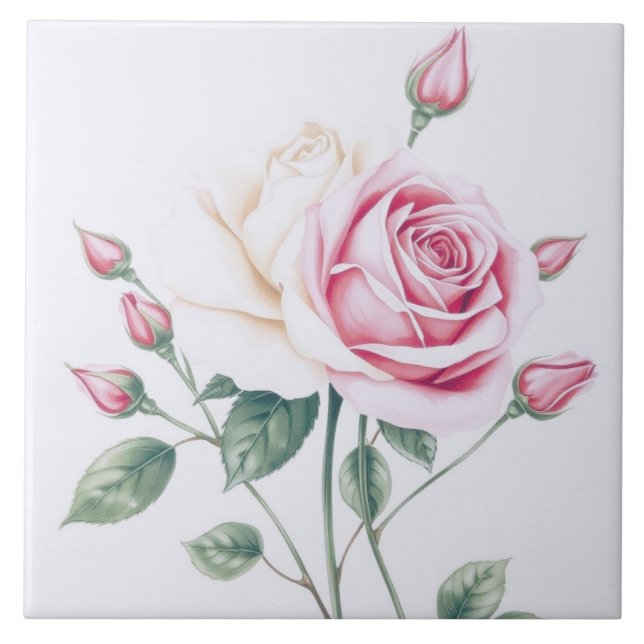 Rosa Rosa Rosa (Frente)