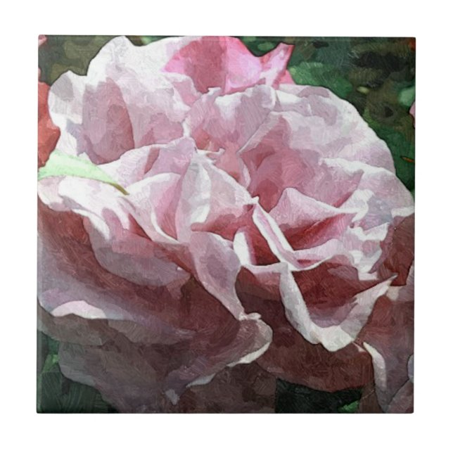 Rosa Rosa Rosa (Frente)