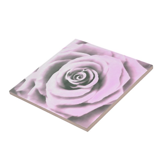 Rosa Rosa Rosa Artista Rosa (Lateral)