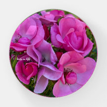 Rosa Rosa Rosa lavanda