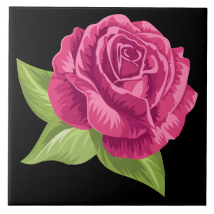 Rosa Rosa Rosa Rosa Animada