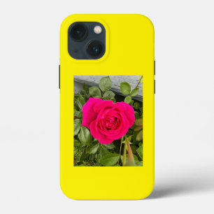 Rosa Rosa Rosa Rosa Rosa #4