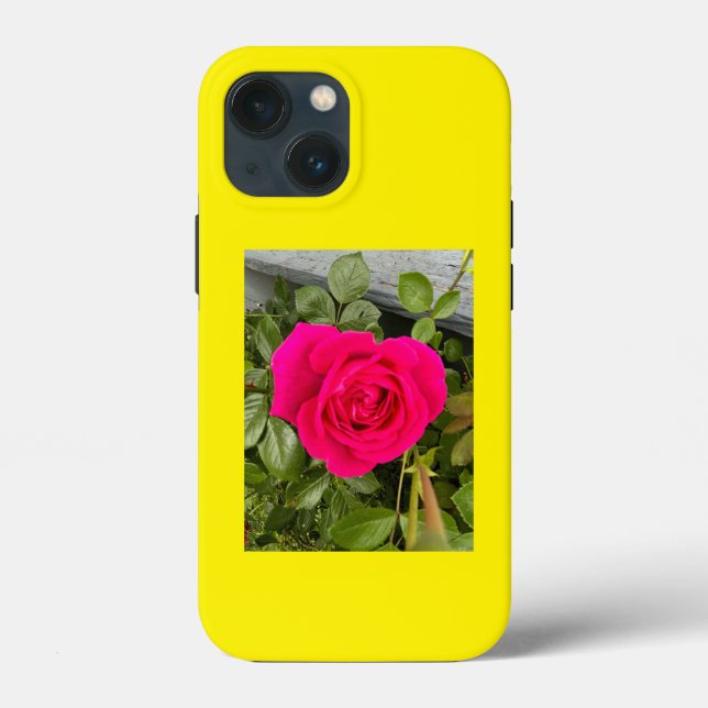 Rosa Rosa Rosa Rosa Rosa #4 (Verso)