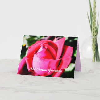 Rosa Rosa Rosa Rosa Rosa com Cartão de Saudação de