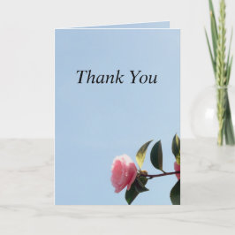 Rosa Rosa Rosa Rosa Rosa Com Cartões de agradecime