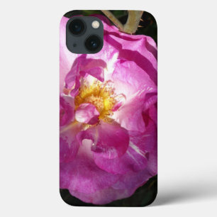 Rosa Rosa Rosa Rosa Rosa iPhone 6/6, Difícil Xtrem