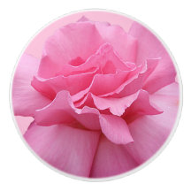 Rosa rosa-rosa-tendência Branca-de-rosa-cerâmica-f