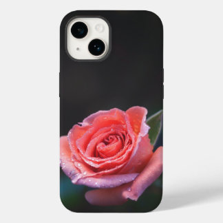 Rosa Rosa Única com Orvalho