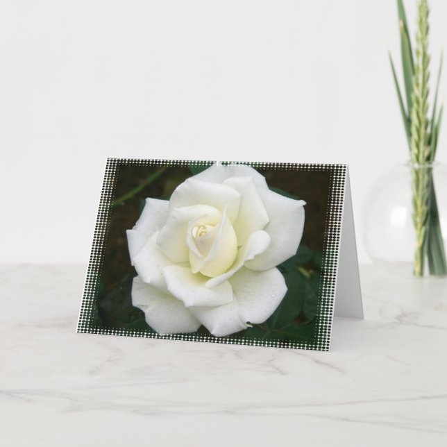 Rosa Significa Cartão de Saudação (Frente)