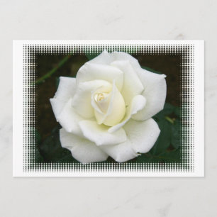 Rosa Significado Convite