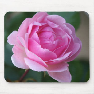 Rosa solitário Mousepad do rosa