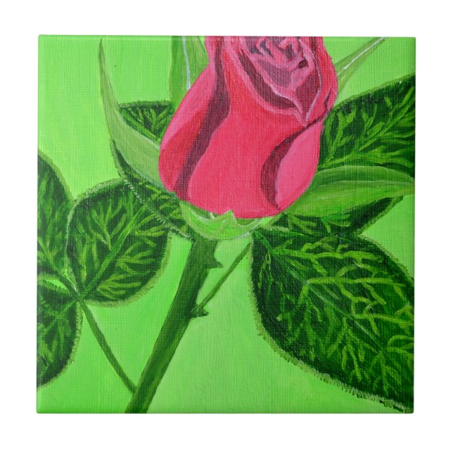 Rosa vermelha (Frente)