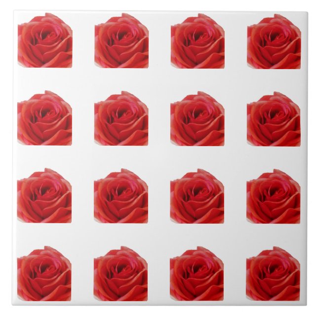 Rosa vermelha (Frente)