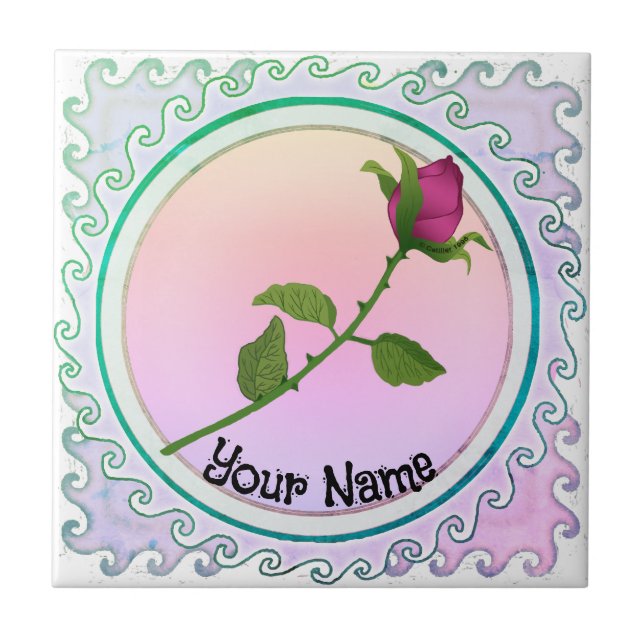 Rosa vermelha (Frente)