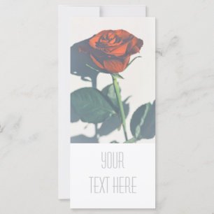 Rosa vermelha Brilhante Adicione Sua Placa Plana D