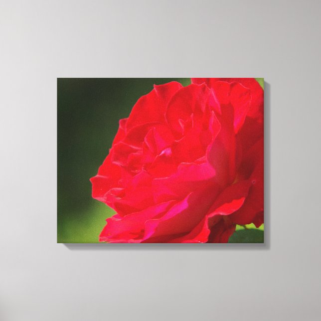 ROSA VERMELHA - CANVAS (Frente)