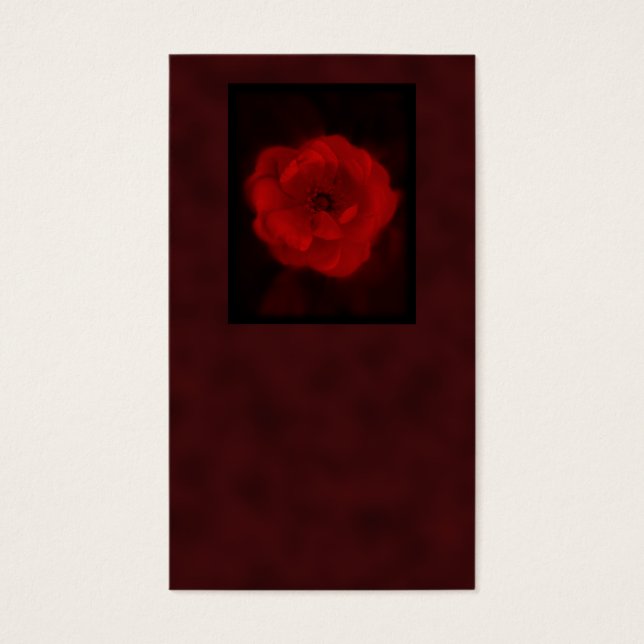 Rosa vermelha. Com preto e vermelho profundo. (Frente)