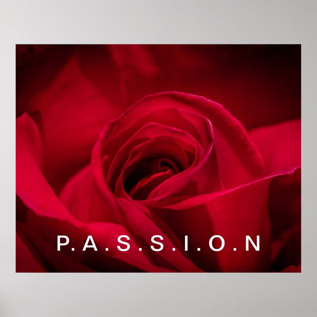 Rosa vermelha de Poster de paixão (Frente)