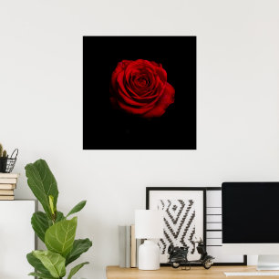 Rosa vermelha Dramática - Impressão de Arte Floral