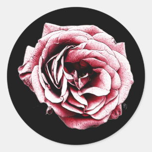 Rosa vermelha - etiqueta