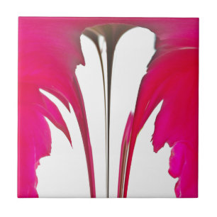 Rosa vermelha fantástica do chic sob o céu branco