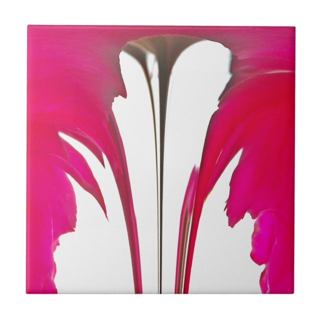 Rosa vermelha fantástica do chic sob o céu branco (Frente)