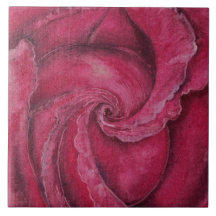 Rosa vermelha fechada