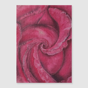 Rosa vermelha fechada