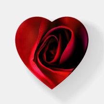 Rosa vermelha Gloriosa Peso do Papel