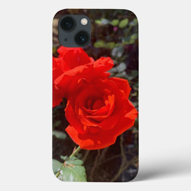 Rosa vermelha iPhone 13 Case (Verso)