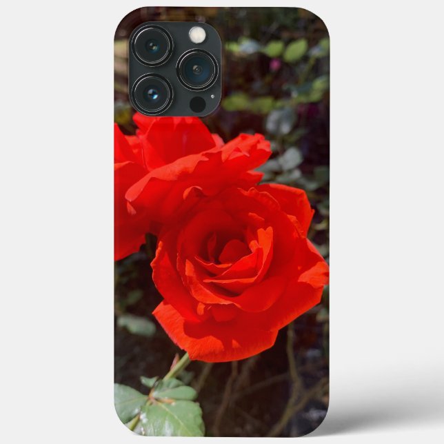 Rosa vermelha iPhone 13 Pro Máx Case (Verso)