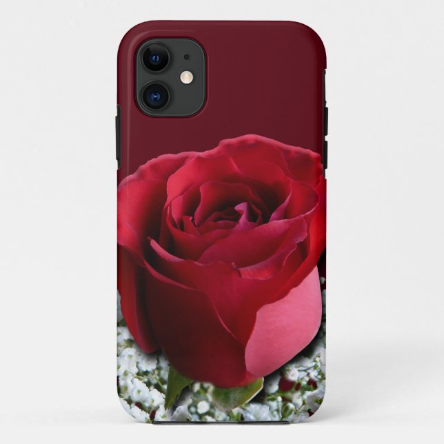 Rosa vermelha iPhone 5 Rosas de gabinete capas de  (Verso)