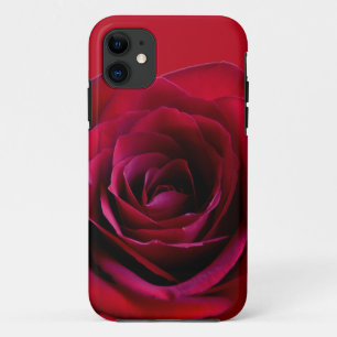 Rosa vermelha iPhone 5 Rosas de gabinete capas de 