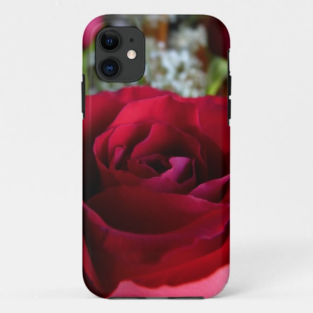 Rosa vermelha iPhone 5 Rosas de gabinete capas de  (Verso)