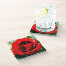 Rosa vermelha Love
