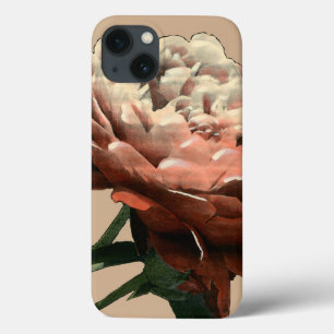 Rosa vermelha Ruby com Destaques Brancos